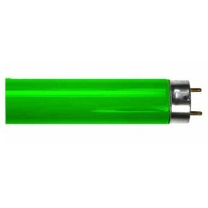 TLD Verde 1